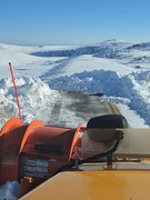 [Image: IMG-5511.jpg]