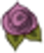 single-rose