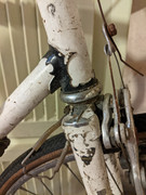 PXL_20221126_160745299