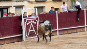 IMG-0078