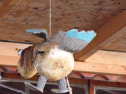 ADP Free party Balscha 2009 058