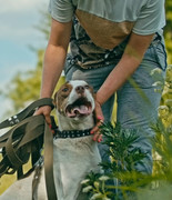 Screenshot_20230627_232658_Gallery