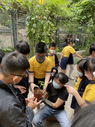 photo-littlefarmer2223-4A-003