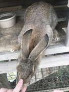 E61CAB84-B105-4636-9D2A-D747BFC13840