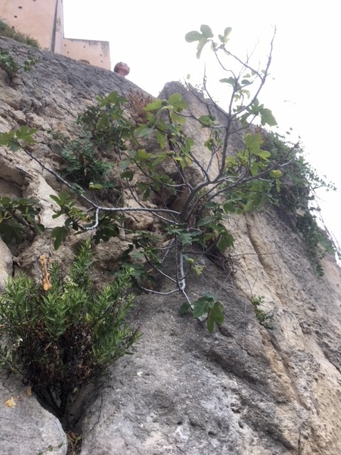 E44A1EA4-B1FA-4222-8D39-17CB19E4D13E