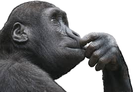 Hand in Mouth