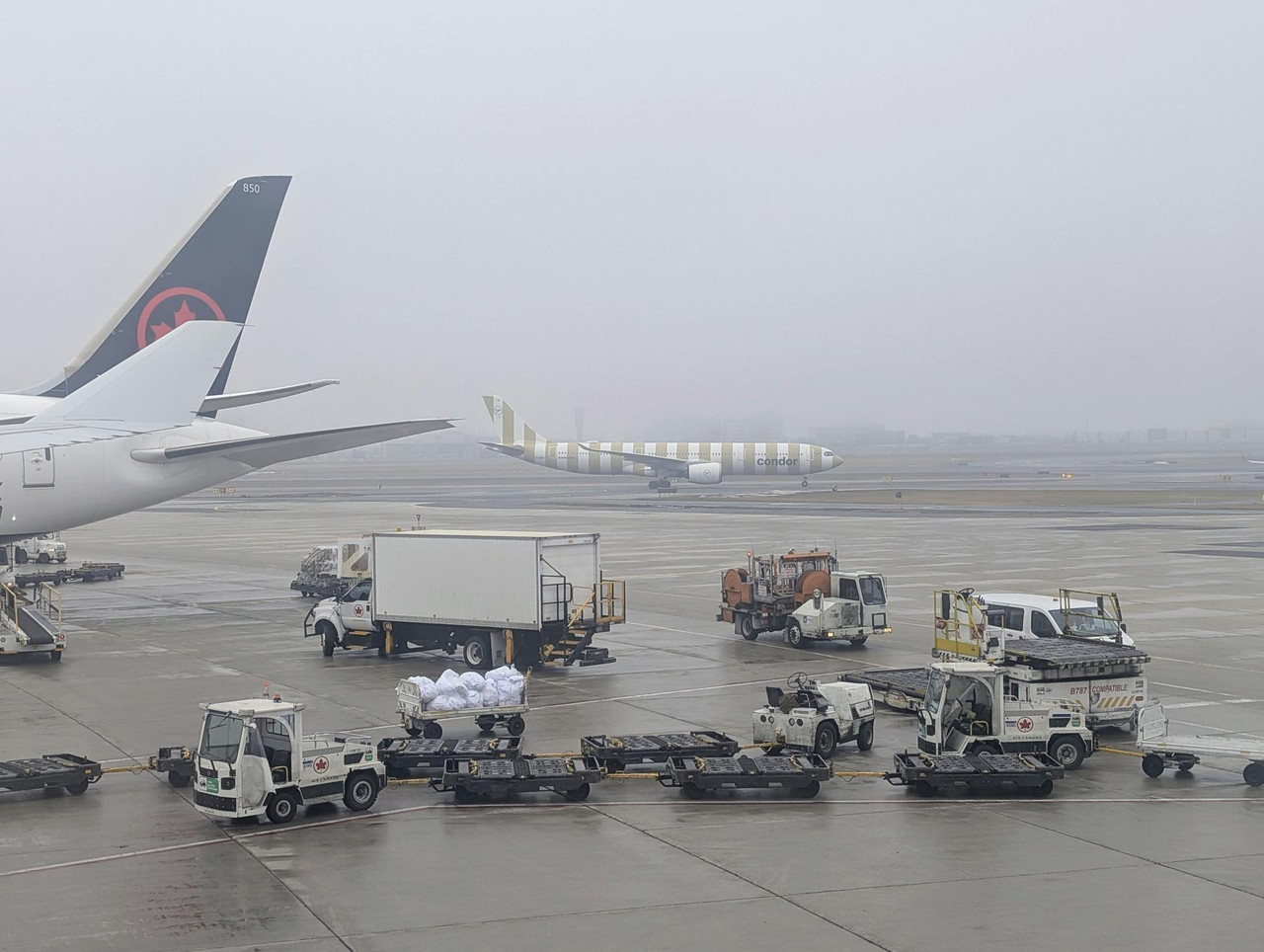 PXL 20260306 193634612 MP 2