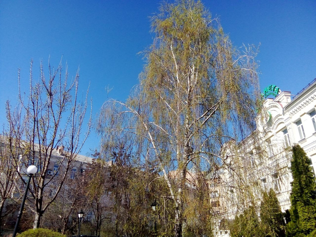 photo_2025-04-05 7.16.24 пп