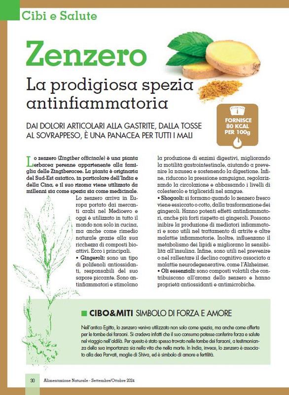 Alim Nat Set-Ott 2024 (5)