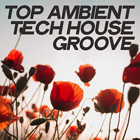 VA - Top Ambient Tech House Groove (2020)