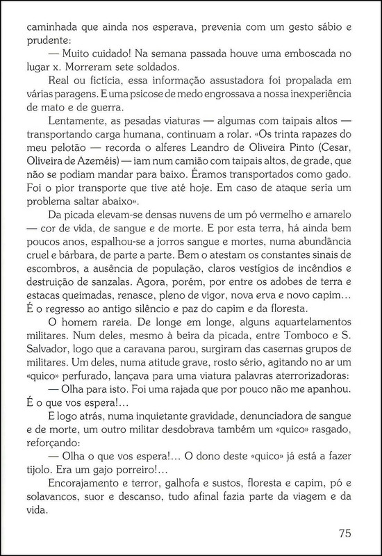 Brumas-12