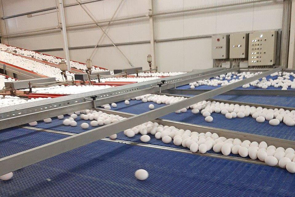 Где Купить Продукцию Нерюнгринской Птицы Фабрики