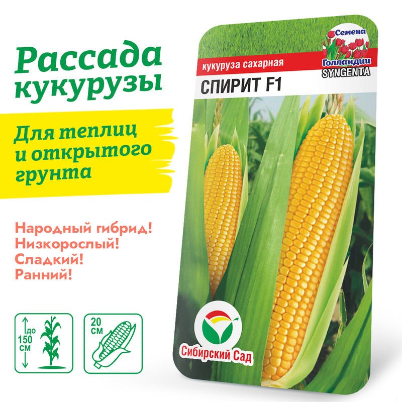 кукуруза спирит