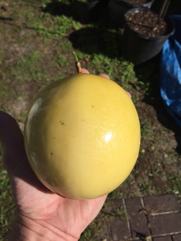 660D019A-35F0-4515-A0D9-444F60661F72