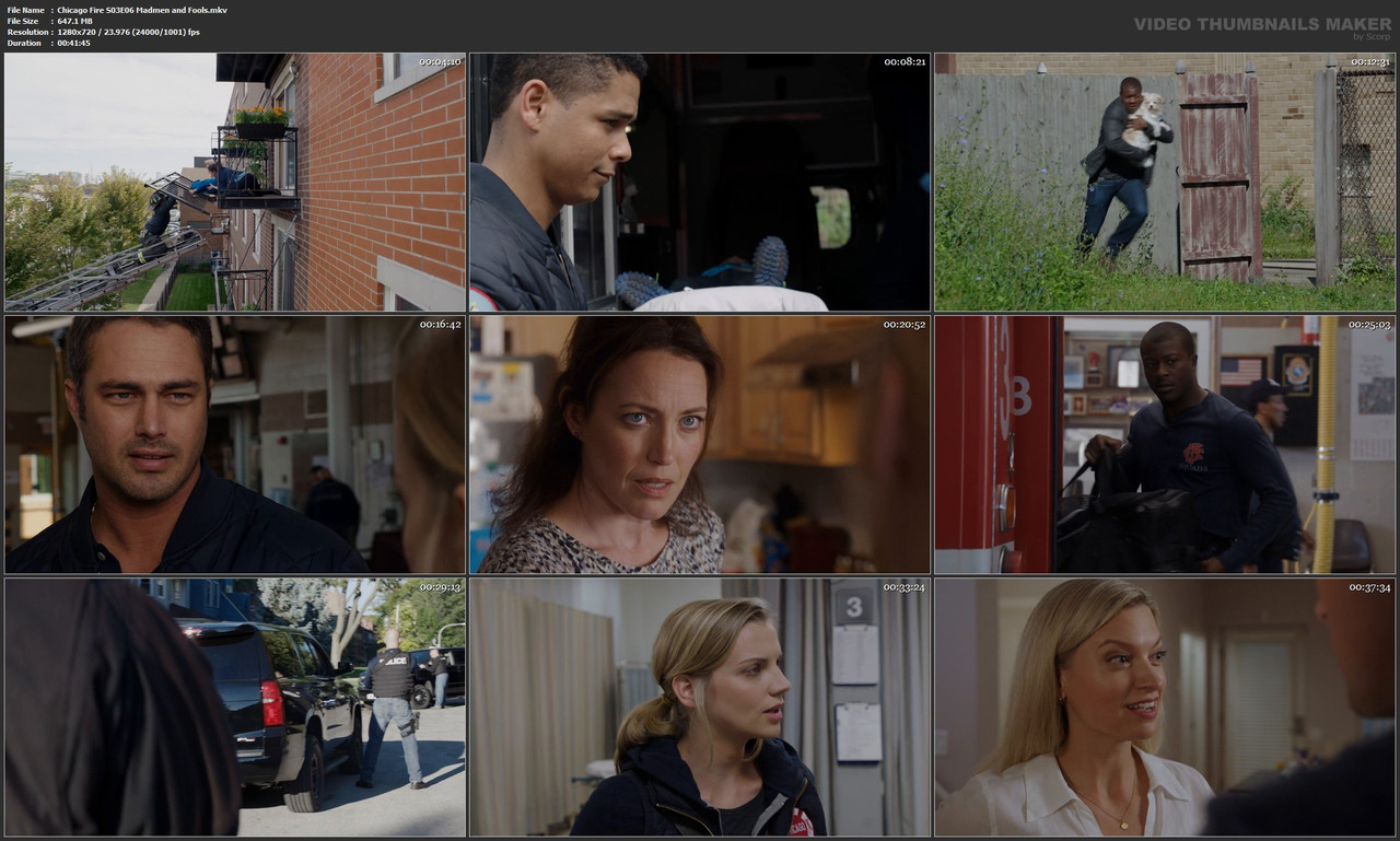 Chicago Fire S03E06 Madmen and Fools.mkv
