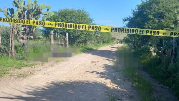 A la orilla de una brecha, localizan siete cuerpos con impactos de bala en Zacatecas