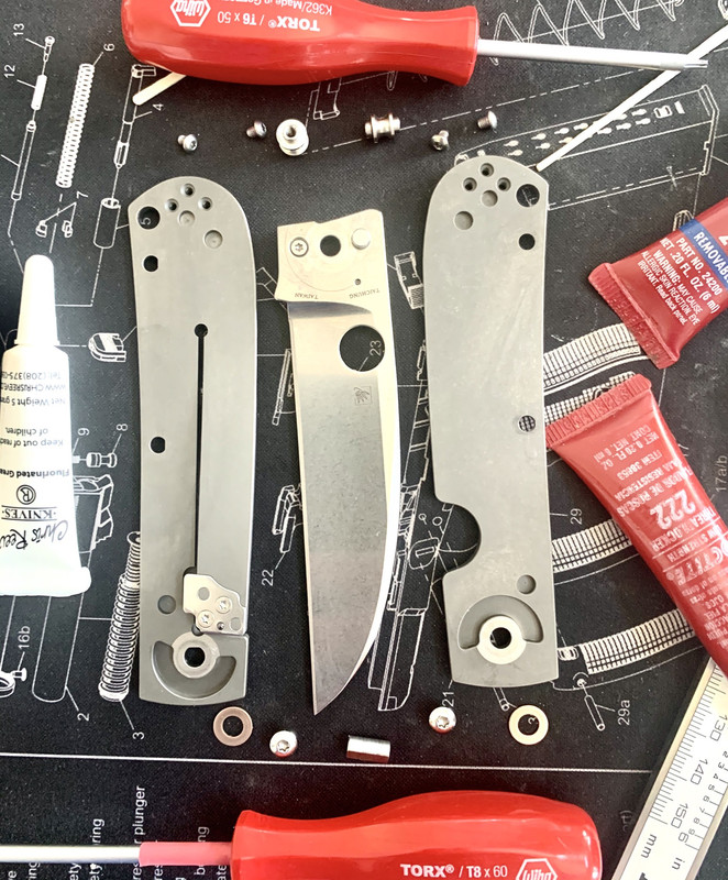 A93D2AB5-272F-479B-8189-394AC4CDA71A