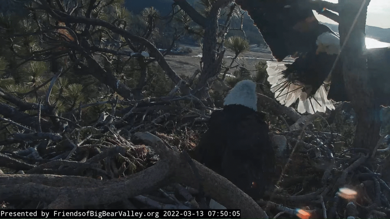 Webp.net-gifmaker (5)