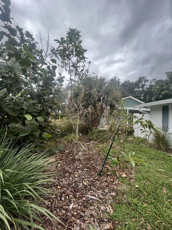 F1C005D9-C59E-426B-BAE9-64169A23B2F9