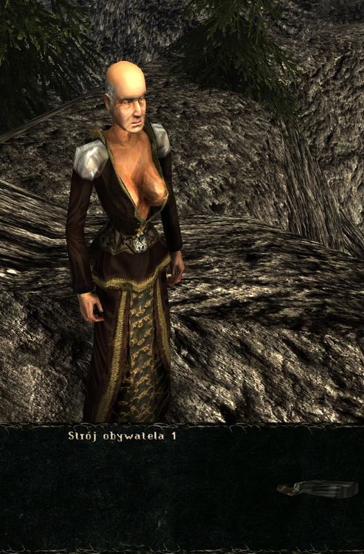 pancerze i ubrania (48)