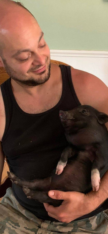 Pets-3