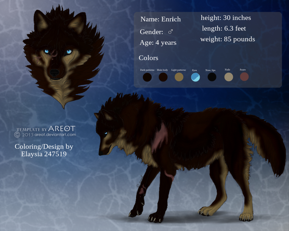 Enrich-ref-sheet.jpg