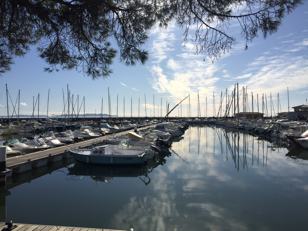 D162E31F-6F14-4CD8-BDE7-2CE57B7C46E0