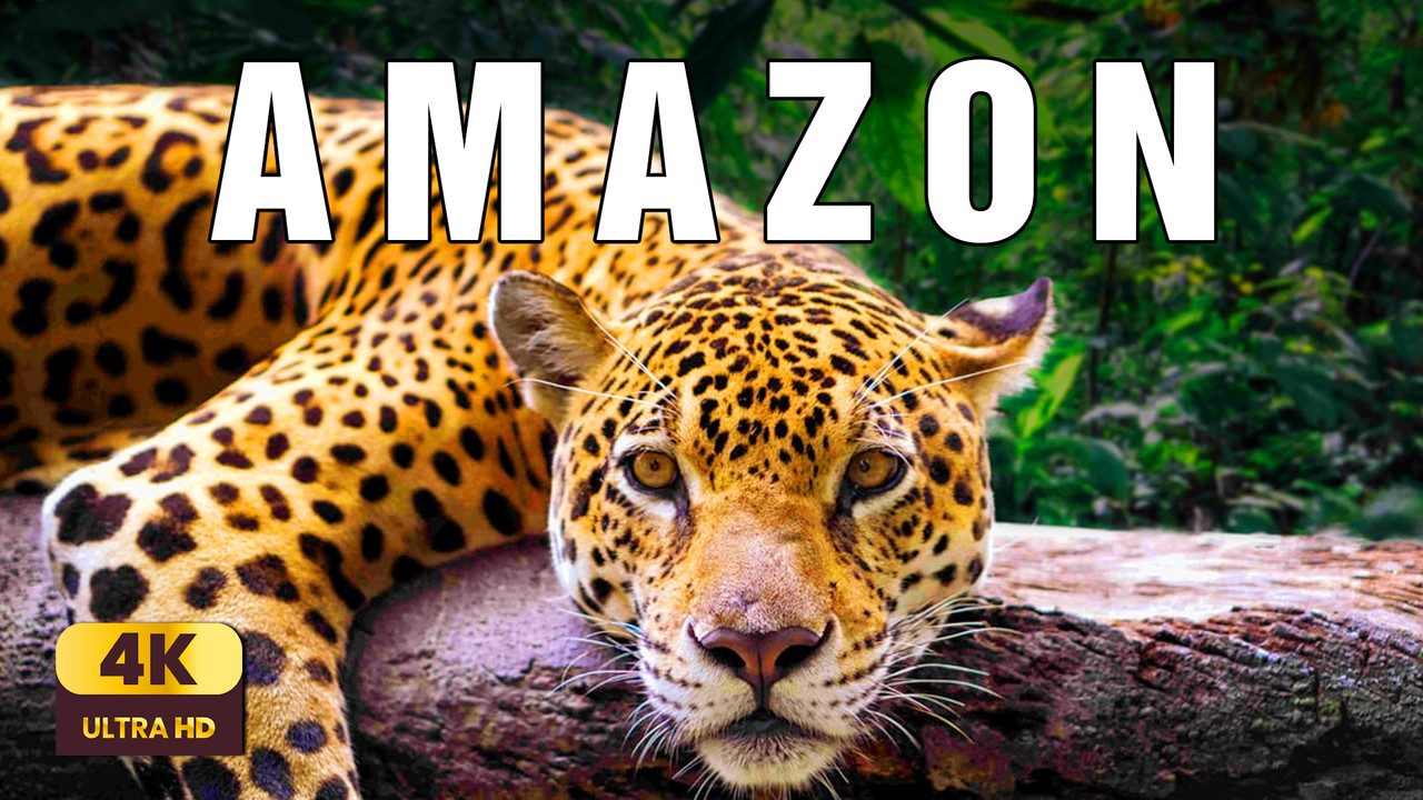 Amazon Rainforest 4K | Into Earth’s Living Heart | Cinematic Nature Relaxation