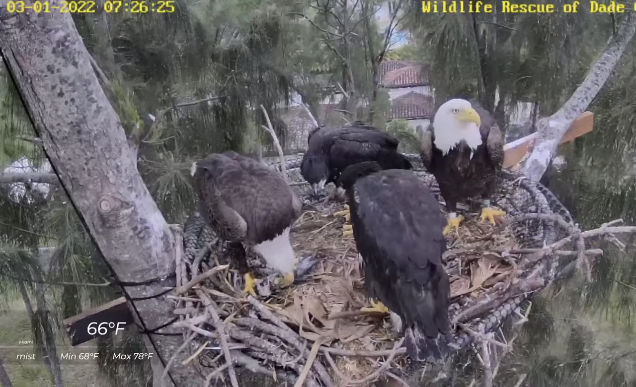 6E9C4C96-0D62-4023-81AA-C923A9BAA00A