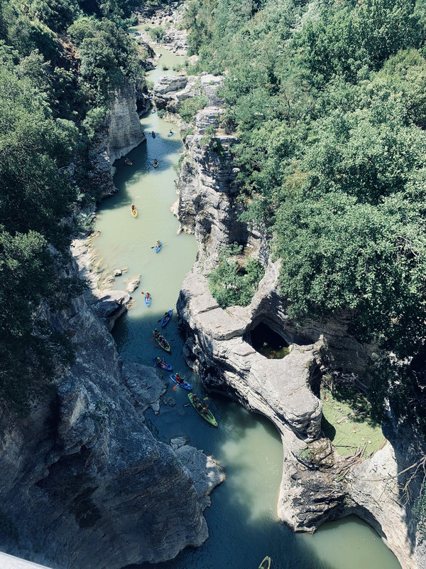 C8EAF876-06F4-4C10-94E3-7BEA4A1D26AD