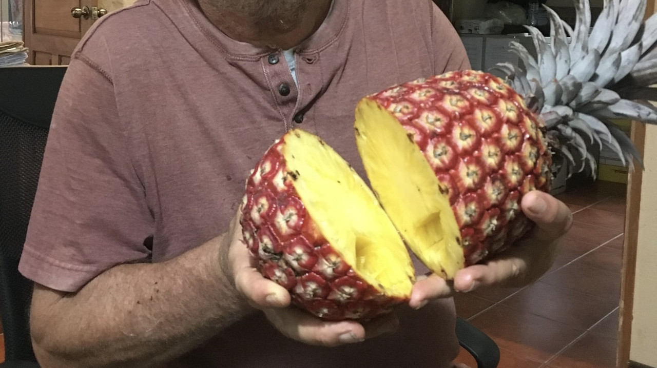 463C3F0D-10BC-45C9-9C24-75EB7571DD87