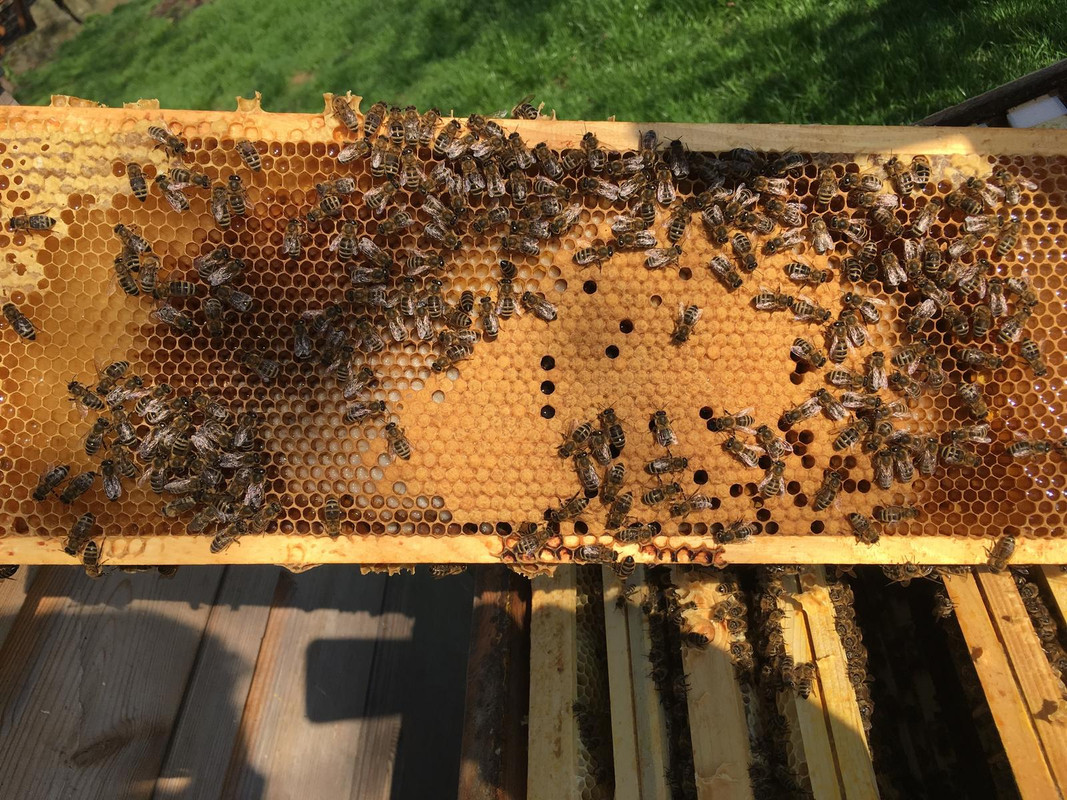 7F3B38B8-100F-43C4-92EC-9AF7BEA7DAB4