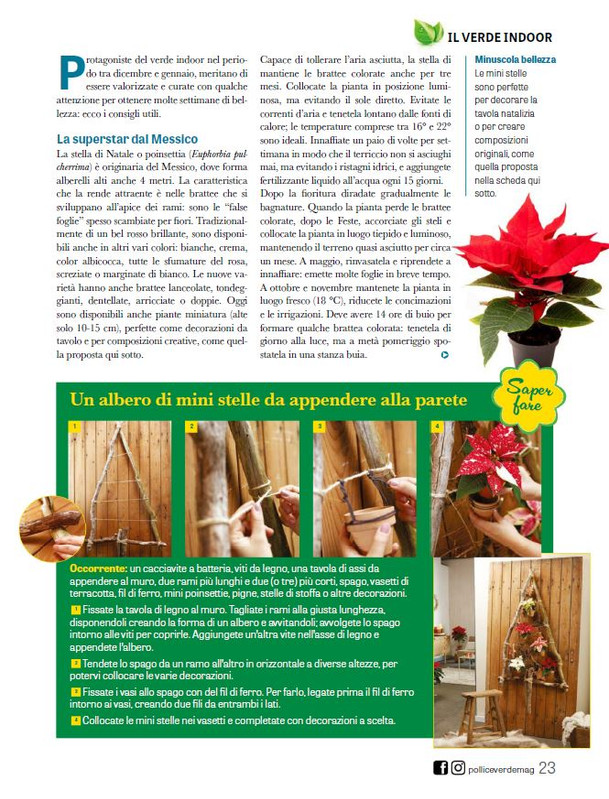 Pol Ver Dic 2025 Gen 2026 (8)