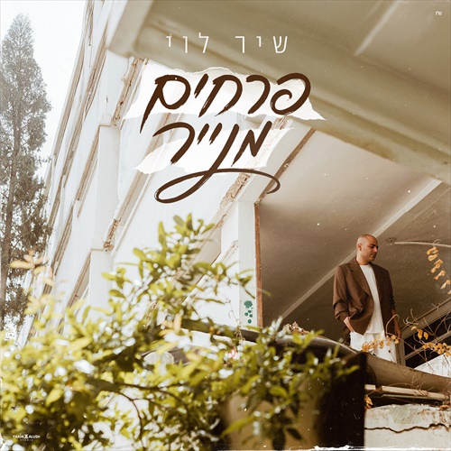 תמונה