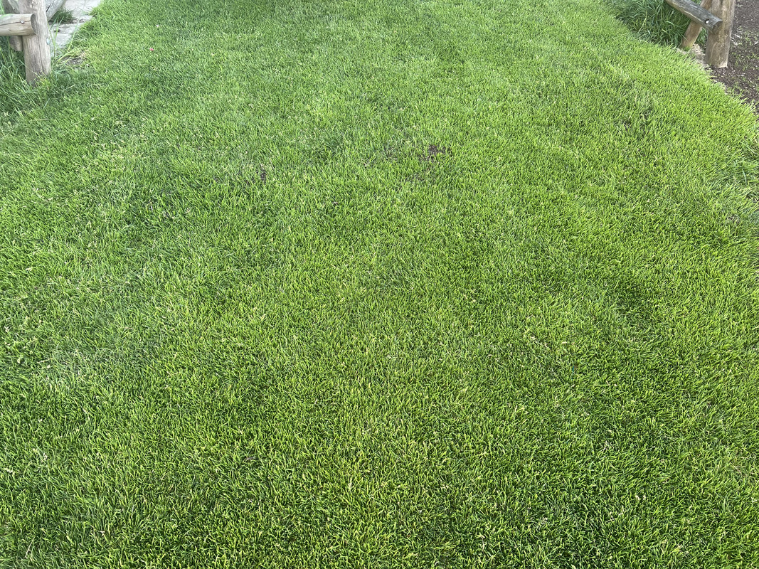 7974014A-9083-4541-882B-FF2E9B200A4D