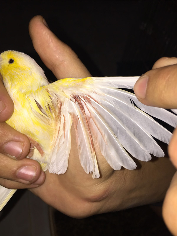 3D480F2A-BC10-42EB-BC26-7585E7EEAA70