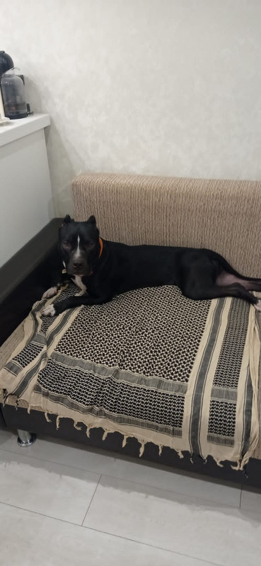 B1E23E9E-D87D-4961-9E29-8E1E1F1AD1BB