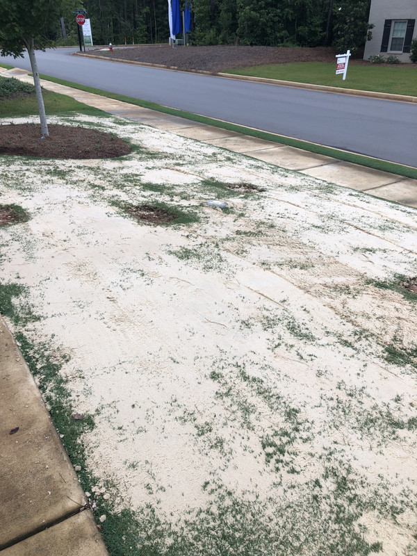 CADE836D-958E-49A7-94CE-CA18A9E868DC