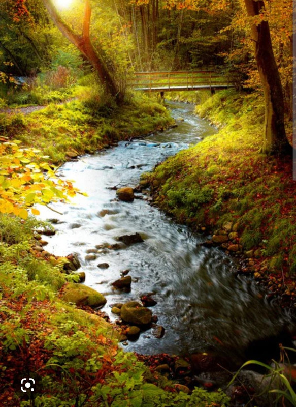 Screenshot_20221124-234843_Chrome