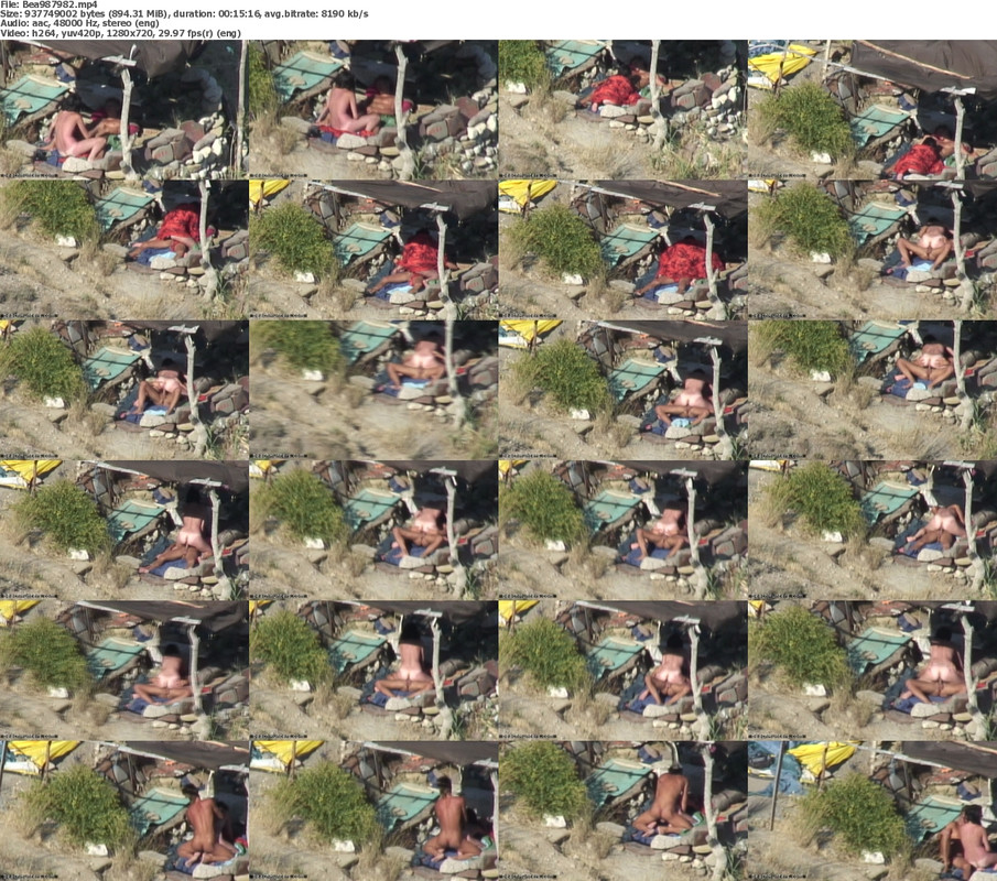 25112024073100screenshot