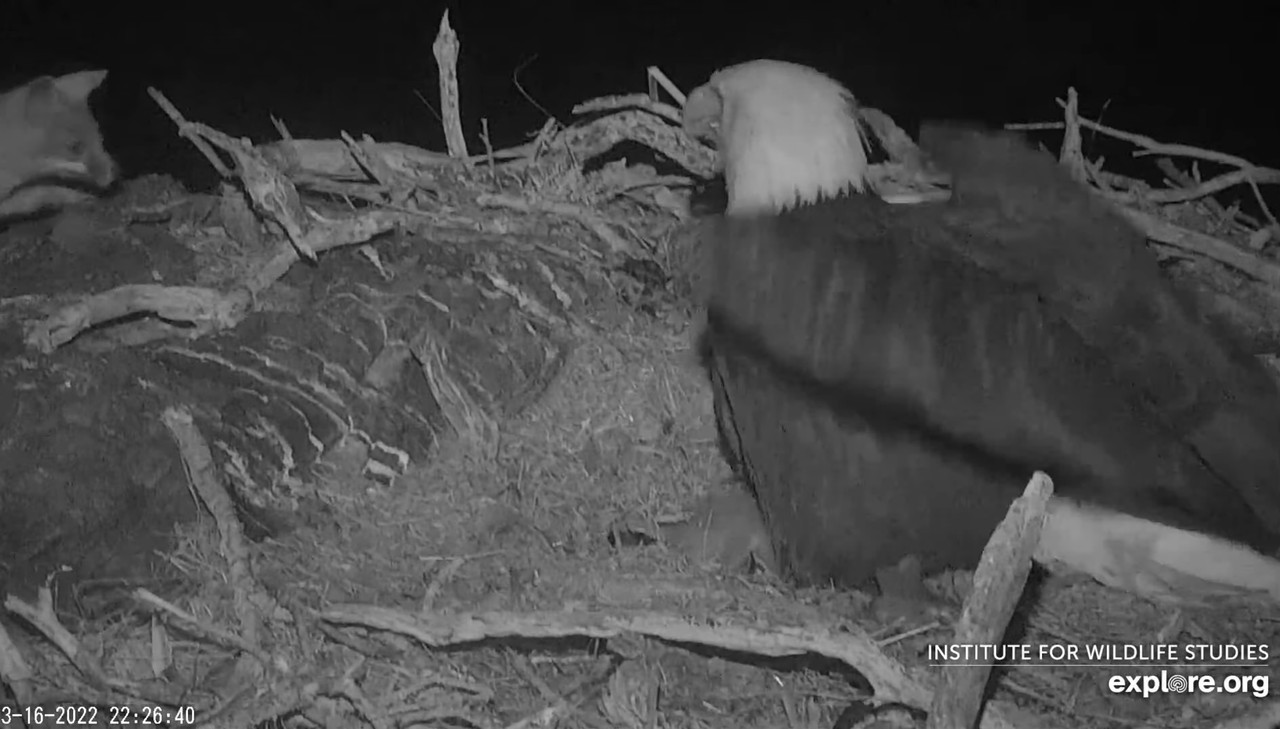 05654496-10FC-4858-B5D9-67299F9CDC63