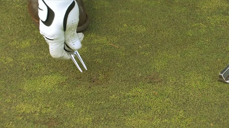 golf divot