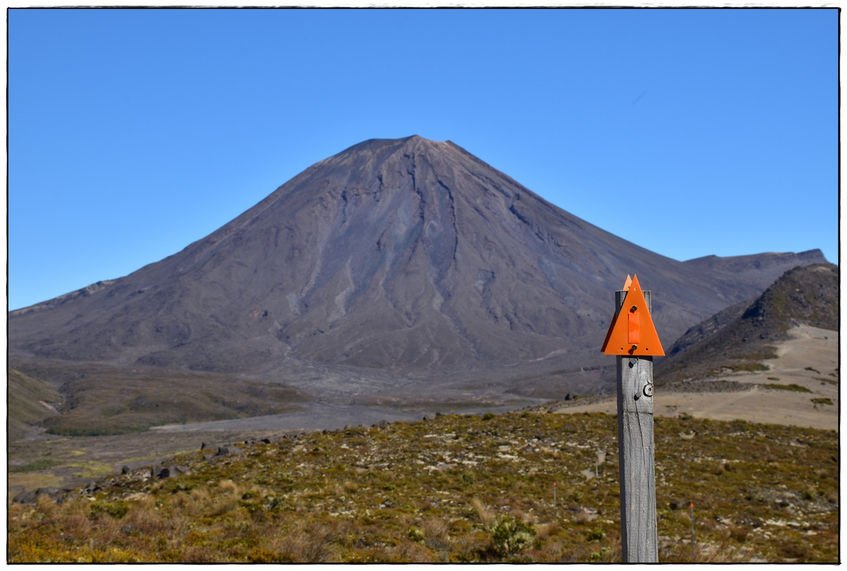 Tongariro NP: Tongariro Northern Circuit (enero 2022) - Escapadas y rutas por la Nueva Zelanda menos conocida (34)