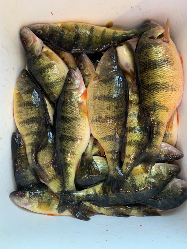 738D172B-6F28-4B79-BA80-171D32B86D91