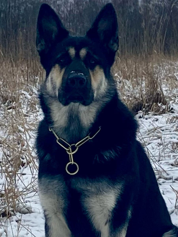 F0UVCn4ercCjsi0YKO9dIYmE9WG13gze47WT8YSqtfo732pfFoytxCnQZAhq51yoMweomLoyrwkwclTz0vBlax1R