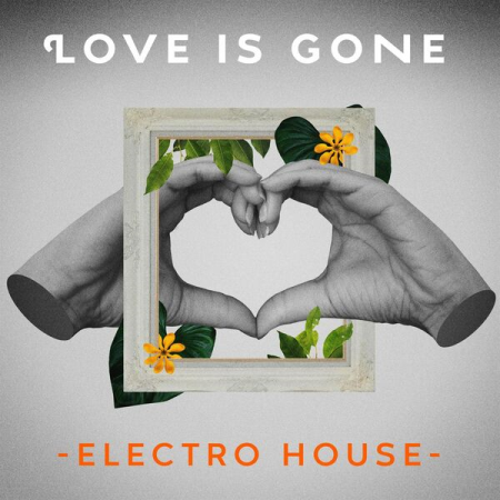 VA - Love Is Gone - Electro House (2023)