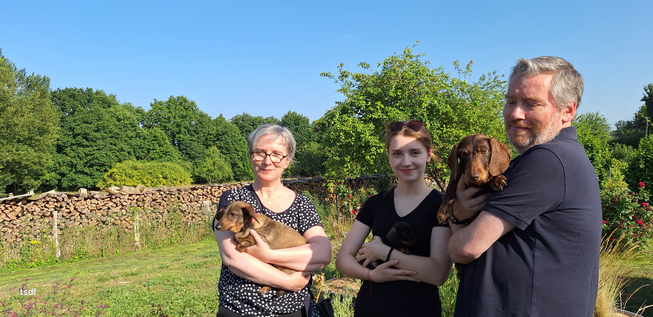 [Image: 20250611-184718.jpg]