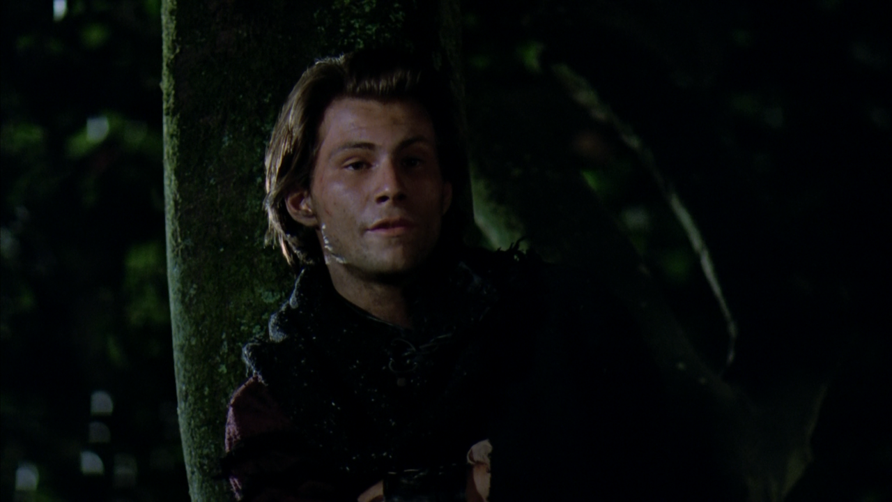 Robin Hood Prince Of Thieves (1991) 1080p Bluray BDrip x265 HEVC