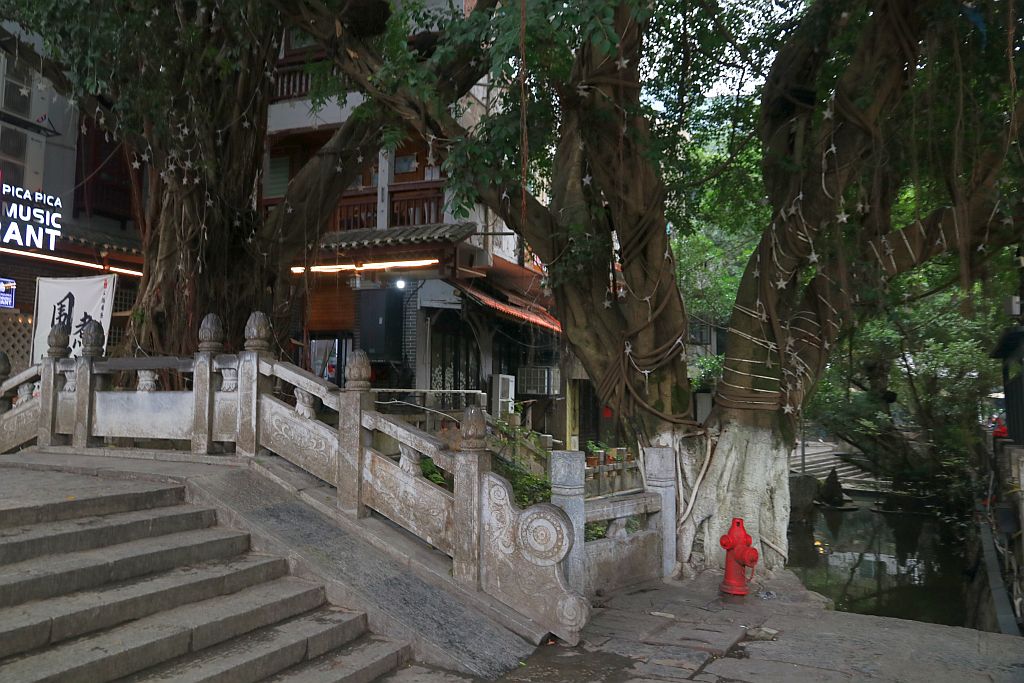 https://i.postimg.cc/Hk4Hsw9f/IMG-3328.jpg