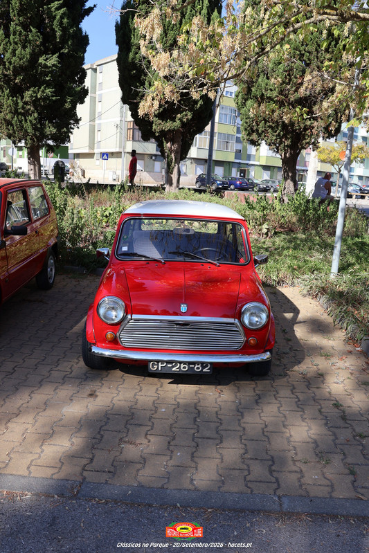IMG 7275